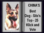 alt=Best-Dog-Sites-Top-25