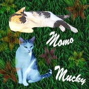 Momo und Mucky aus Dinomami`s Tierreich