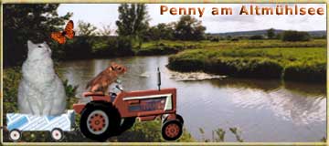 Penny ... ganz vornehm mit Chauffeur