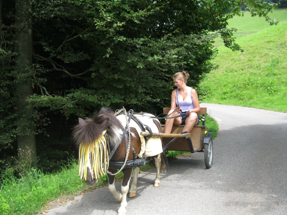Ponys/img_1160.jpg