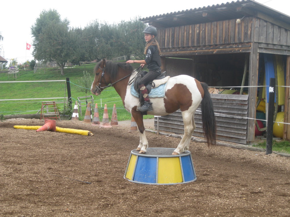 Ponys/img_7341.jpg