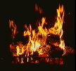 fire.gif